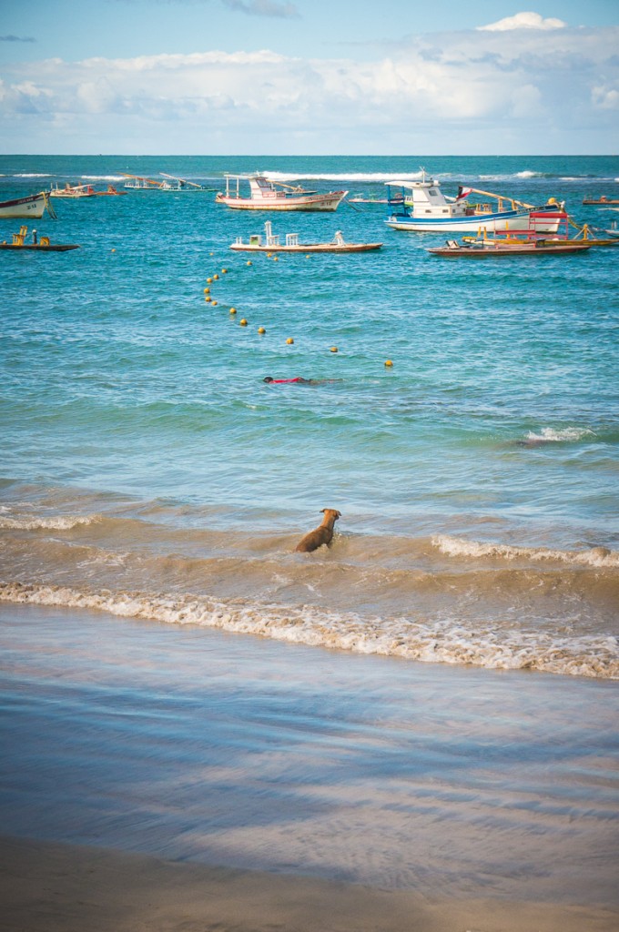 Porto de Galinhas, com a cachorrinha Mimosa vigiando atentamente a diversão de seus tutores mirins na água.
