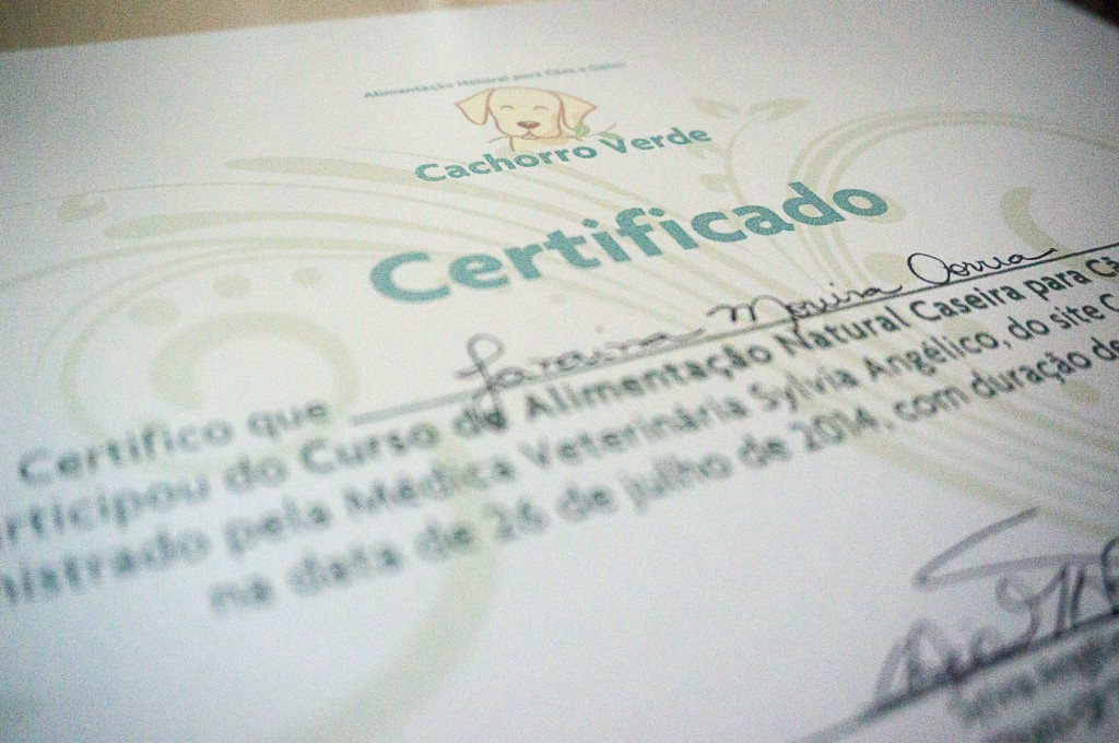 Certificado de participação no curso.