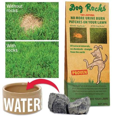 dog-rocks-prevent-outdoor-grass-burn-urine-marks-60-day-supply_2366979