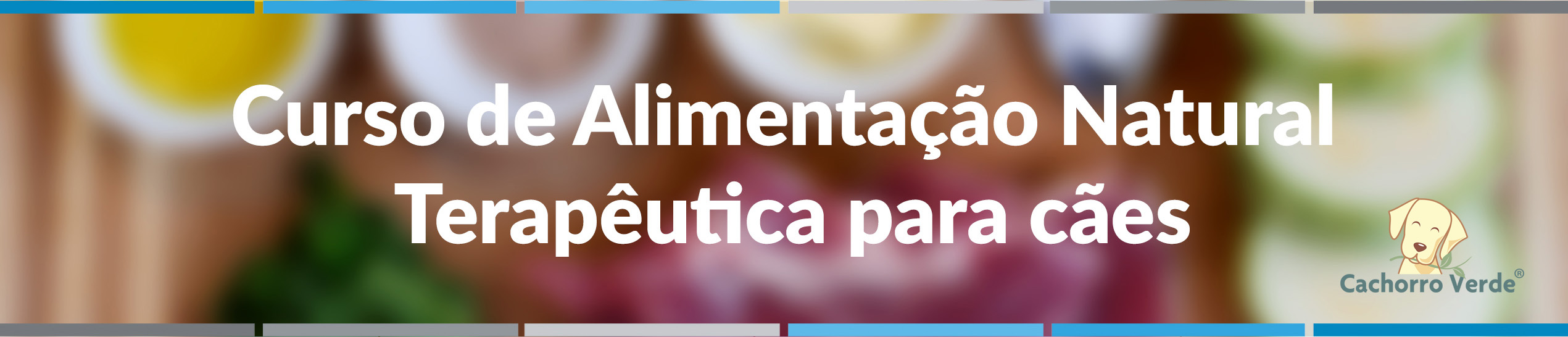 Vavus Dispositivo tradutor de idiomas – Plano de dados integrado