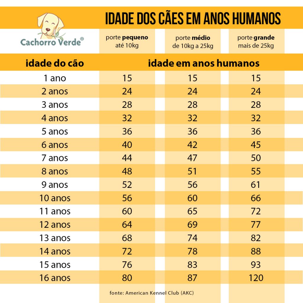 ESSA COMP TEM 10 ANOS DE IDADE 